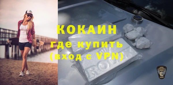 шишки Козельск
