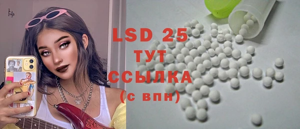 стаф Кодинск