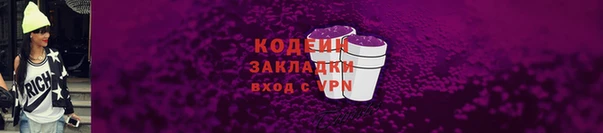 шишки Козельск