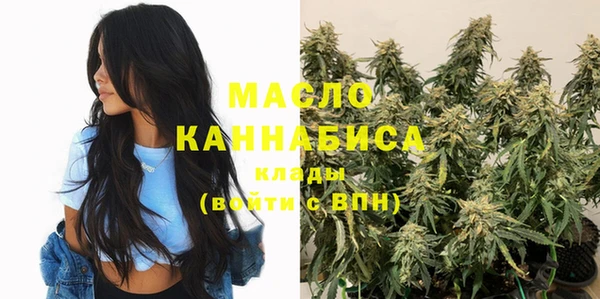 стаф Кодинск