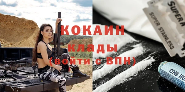 стаф Кодинск
