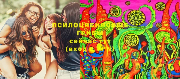 шишки Козельск