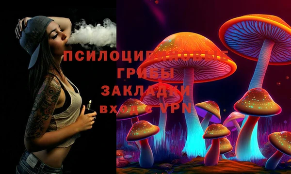 СК Корсаков