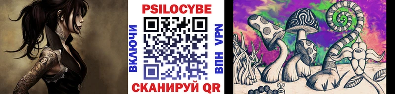 закладки  Малмыж  Псилоцибиновые грибы MAGIC MUSHROOMS 